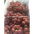 Vender uvas rojas